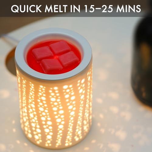 Electric Wax Melt Warmer for Scented Wax or Oil Ceramic Wax Warmer