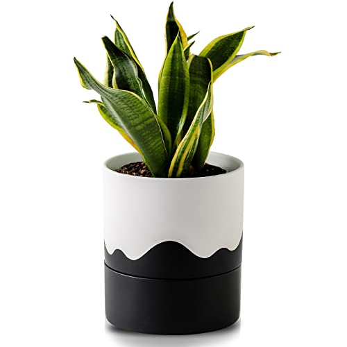 Ceramic Self Watering Plant Pot for Indoor Plants