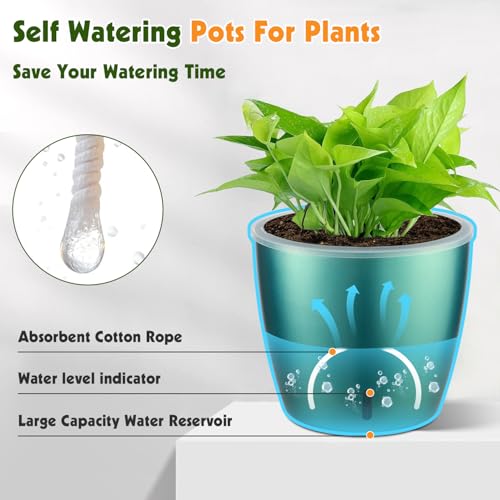 Self Watering Pots for Indoor Plants (12 Count)