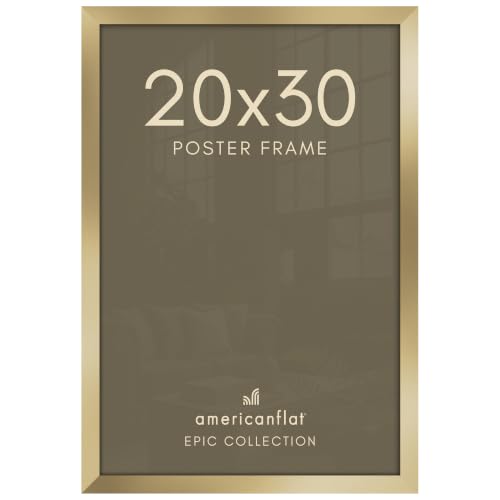 20x30 Poster Frame