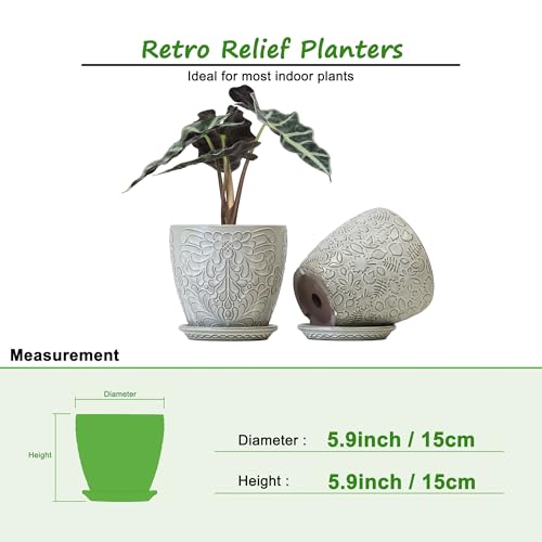 6 Inch Ceramic Planter Pots with Drainage Hole and Saucers for Indoor Plants (2 Count)
