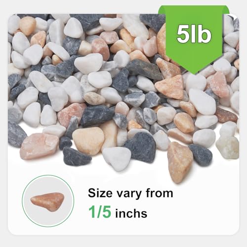 5 lbs Small Rocks for Plants