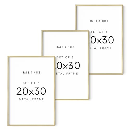 20x30 Gold Metal Picture Frames (3 Count)
