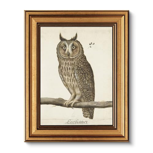 Vintage Gold Framed Owl Wall Art