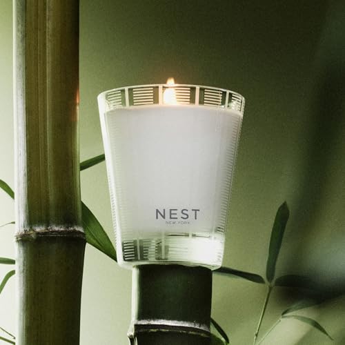 Scented Classic Candle (8.1 Ounce)