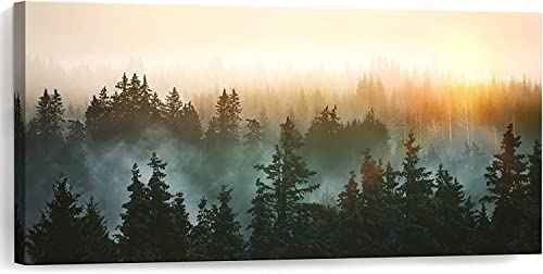 Large Wall Art for Bedroom Living Room Forest Bathed in Sunlight Canvas Print Picture Painting Framed Artwork Wall Decor for Bathroom Modern Room Plants Wall Decorations Size 58x29 Ready to Hang