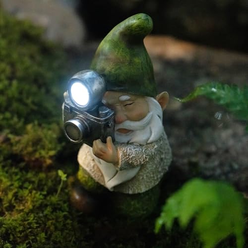 Garden Gnomes Decorations for Yard