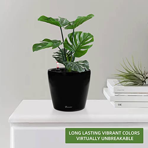 9x8 Self Watering Planter