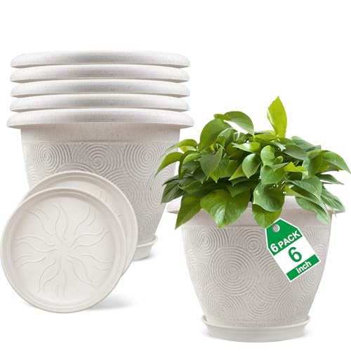 6 Inch Flower Pots Planters for Indoor Outdoor Plants