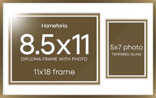 11x18 Bronze Diploma Frame