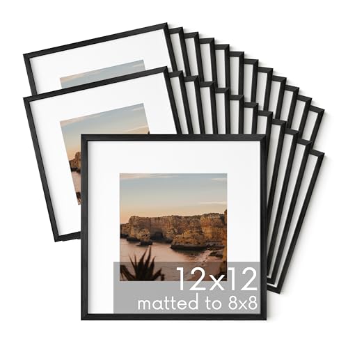 12x12 Black Metal Picture Frames Matted to 8x8