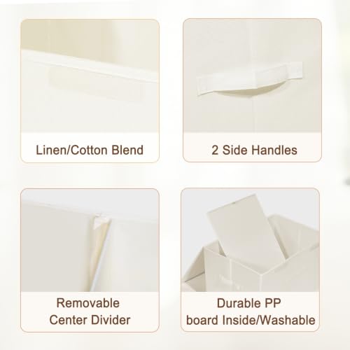 2 Pack Large Storage Boxes with Lids and Handles (2 Count)