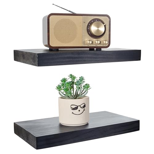 Wood Floating Shelves 12 inch (2 Count)