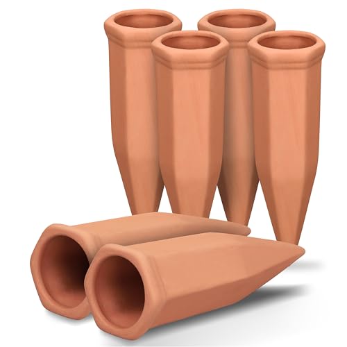 Large Terracotta Plant Watering Spikes (6 Count)