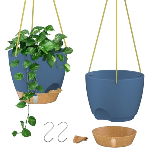 Hanging Planter 8 Inch (2 Count)