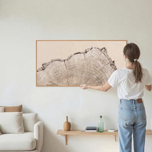 Large Tree Ring Framed Canvas Wall Art
