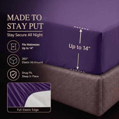 Twin XL Comforter Set Purple