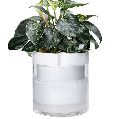 10 Inch Self Watering Planter