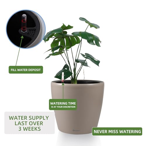 9x8 Self Watering Planter
