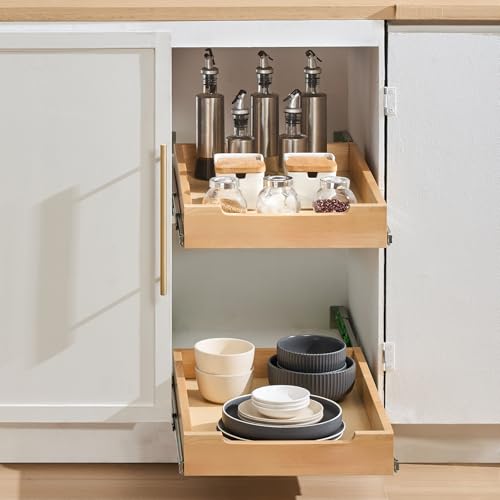 Pull Out Cabinet Organizer