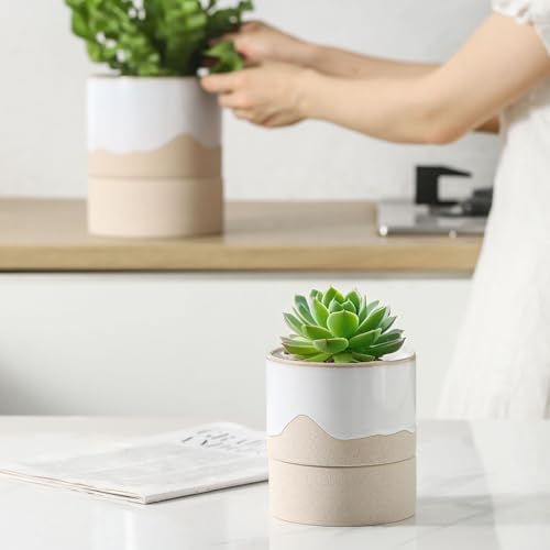 Self Watering Plant Pot