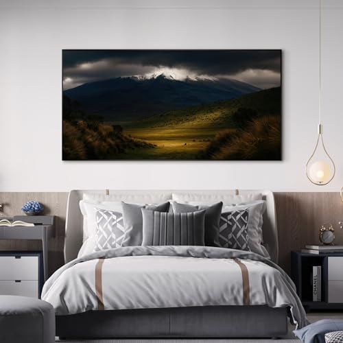 36"x72" Extra Large Framed Wall Art Majestic Snow