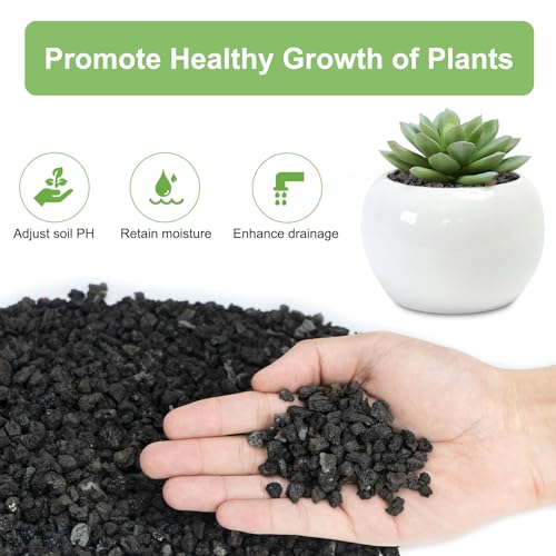 2.5lbs Lava Rocks for Plants