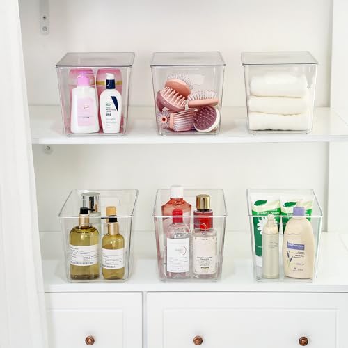 10 Pack Clear Stackable Storage Bins with Lids and Handles (10 Count)