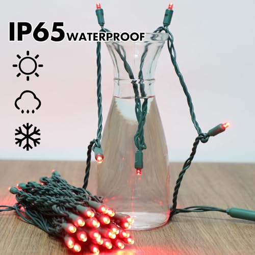 Valentine’s Day Red String Lights Indoor (200 Count)