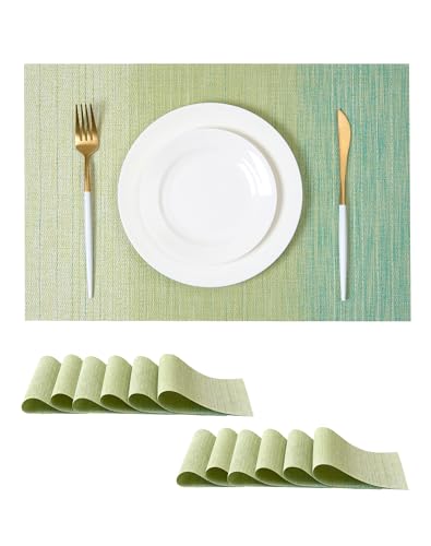 Gradient Green Woven Placemats Set of 12 (2.7 Count)