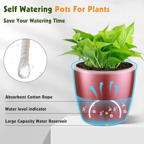 Self Watering Pots for Indoor Plants (4 Count)
