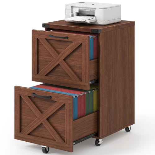 Farmhouse File Cabinet with Lock & 2 Drawers