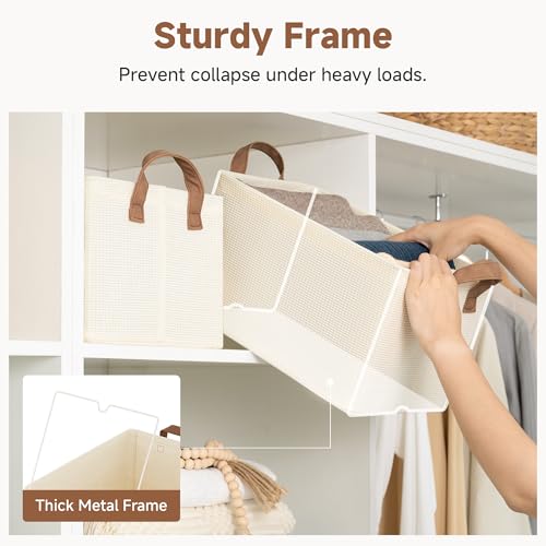 Closet Storage Bins (2 Count)