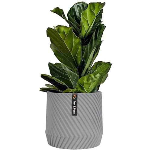 Large Planter for Indoor or Outdoor