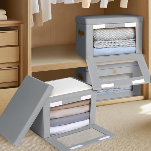 Large Closet Storage Organizer (2 Count)