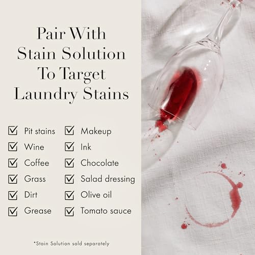 Laundry Stain Brush