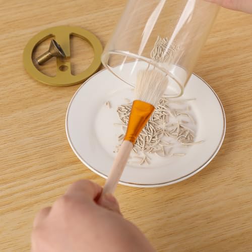 Incense Holder