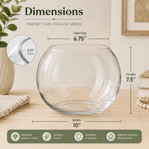 Glass Bubble Vase