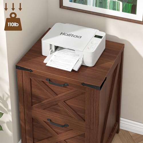 Vertical File Cabinet with 2 Drawers for Home Office