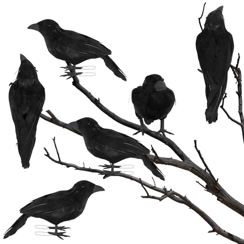 6 Pack Halloween Birds (6 Count)