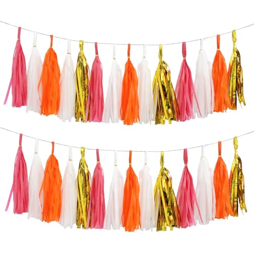 Shiny Tassel Garland Tissue Paper Tassel Banner