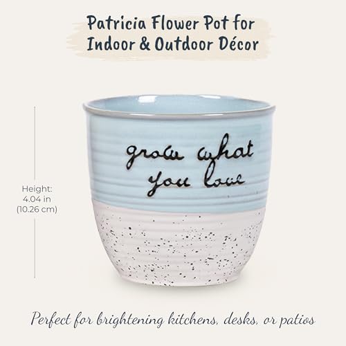 Blue Sky Ceramic Patricia 4" Flower Pot