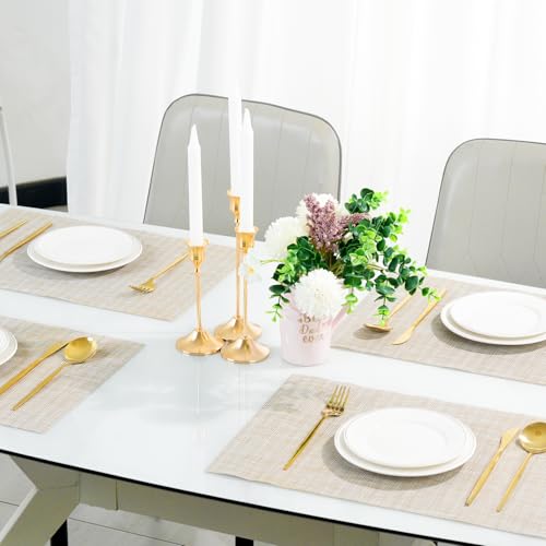 Placemats Set of 8 (8 Count)