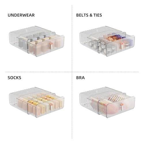 Underwear Organizer for Closet