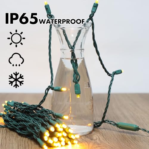 600LED 12pk of 50L (600 Count)