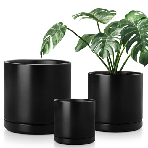 Ceramic Planters (3 Count)