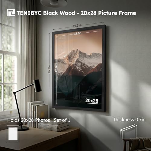 20x28 Picture Frame