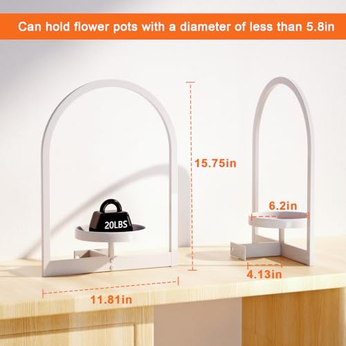 Wall Plant Holder (2 Count)
