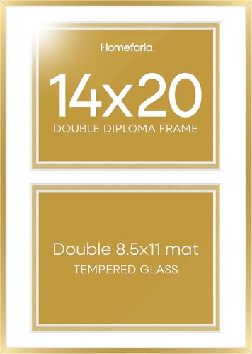 14x20 Gold Diploma Frame (2 Count)