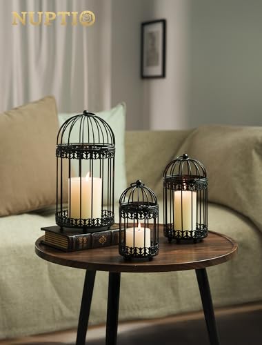 Black Decorative Bird Cage (2 Count)